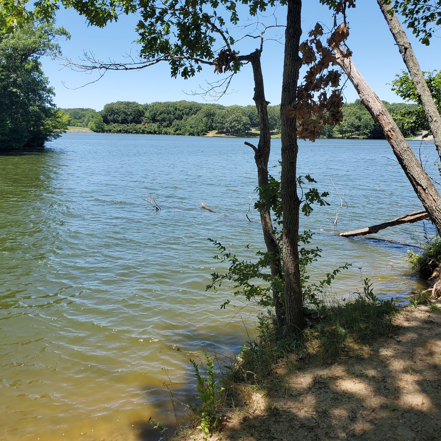 Henry Ellers Shoal Creek Preserve 